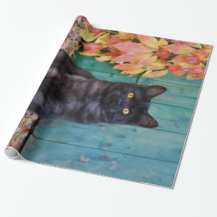 Papel De Presente O gatinho bonito do gato preto com vermelho sae do