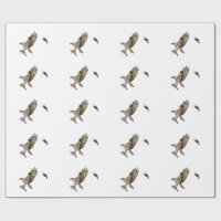 O Osprey que está sendo perseguido por um vermelho