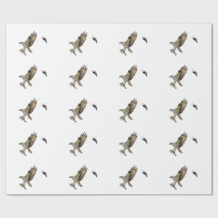 Papel De Presente O Osprey que está sendo perseguido por um vermelho