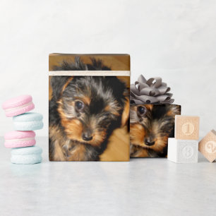 Papel De Presente O Primeiro Natal de Yorkie