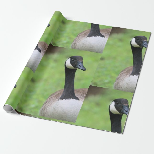 Papel De Presente O quê? (Desenrolado)