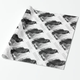 Papel De Presente O Raven de Edgar Allen Poe