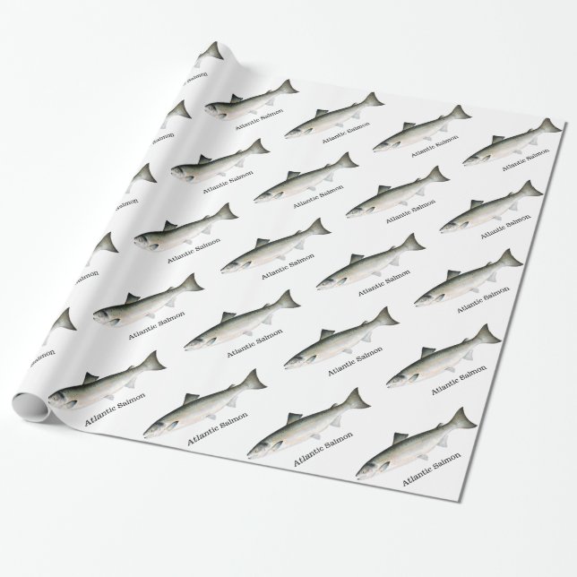 Papel De Presente O salmão atlântico pesca o teste padrão (Desenrolado)