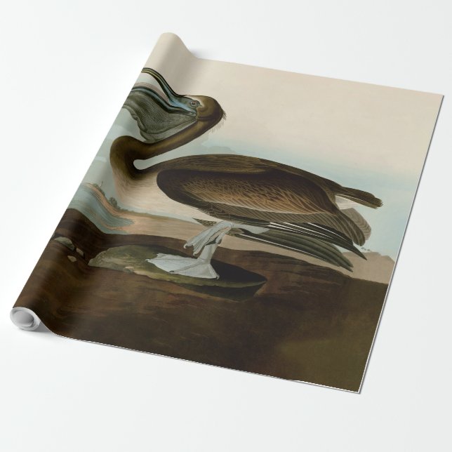 Papel De Presente Obra de Arte Pintura Pelicano Marrom John James Au (Desenrolado)