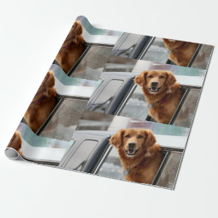 Papel De Presente Oi