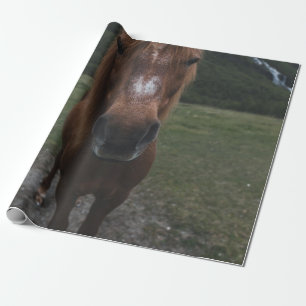 PAPEL DE PRESENTE OLÁ, EU SOU UM CAVALO