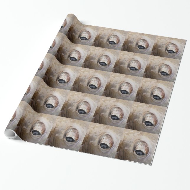 Papel De Presente Olho de Octopus (Desenrolado)