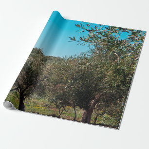 Papel De Presente Oliveiras na paisagem apuliana no outono. ag