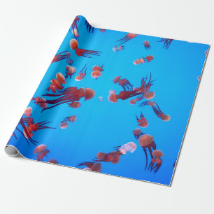 PAPEL DE PRESENTE ORANGE JELLY FISH