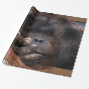 Papel De Presente Orangutan Wrapping Paper