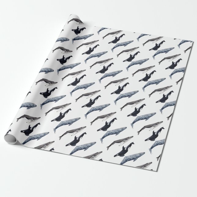 Papel De Presente Orca, ballena jorobada y ballena gris (Desenrolado)