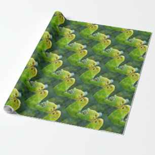 Papel De Presente Orçamento_2015_0604