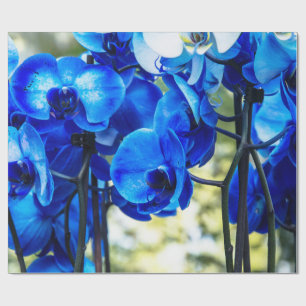 Papel De Presente Orquídea azul