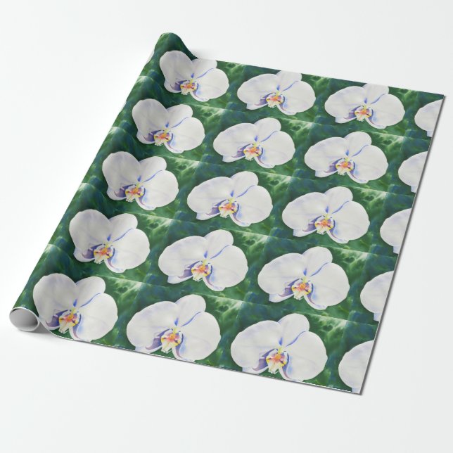 Papel De Presente Orquídea Branco (Desenrolado)