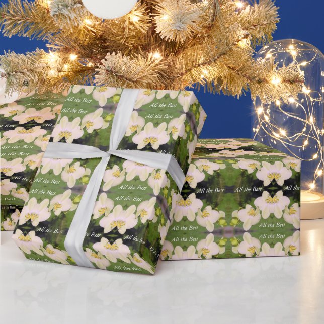 Papel De Presente Orquídeas brancas em um fundo verde (Feriados)