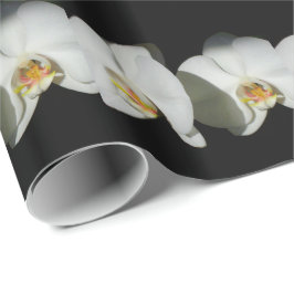 Papel De Presente Orquídeas brancas românticas, foto floral tropical