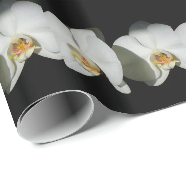 Papel De Presente Orquídeas brancas românticas, foto floral tropical (Ponta do rolo)