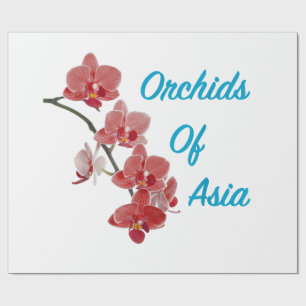 Papel De Presente Orquídeas da Ásia Day Spa
