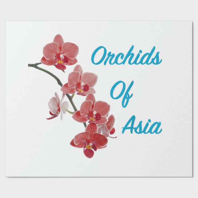 Papel De Presente Orquídeas da Ásia Day Spa (Aberto)