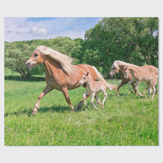 Papel De Presente Os cavalos de Haflinger com potros bonitos (Aberto)