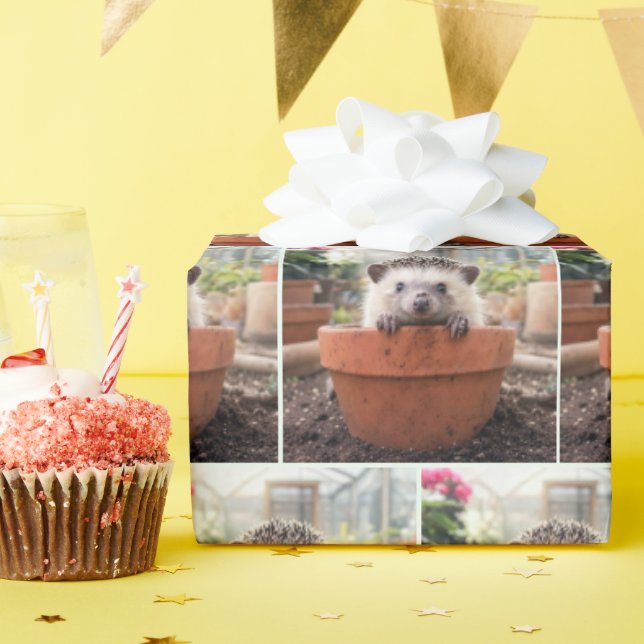 Papel De Presente ouriço em um vaso de barro (Festa de aniversário)
