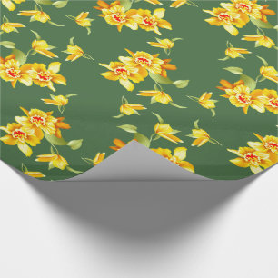 Papel De Presente Ouro Daffodils em verde