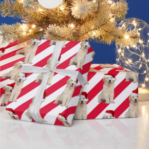 Papel De Presente Ouro De Natal Retriever Em Bandas