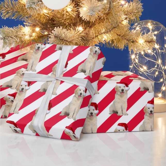 Papel De Presente Ouro De Natal Retriever Em Bandas (Feriados)