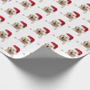Papel De Presente Ouro Retriever e Santa Chapéu