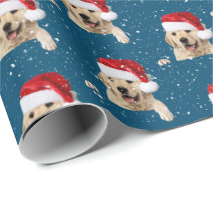 Papel De Presente Ouro Retriever e Santa Hat Wrappaper