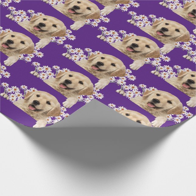Papel De Presente Ouro Retriever em margaridas em roxo (Ponta)