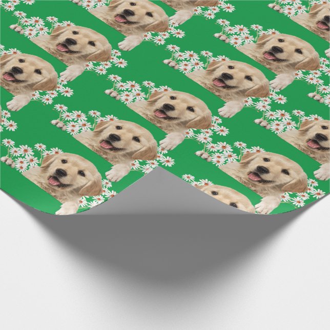 Papel De Presente Ouro Retriever em margaridas em verde (Ponta)