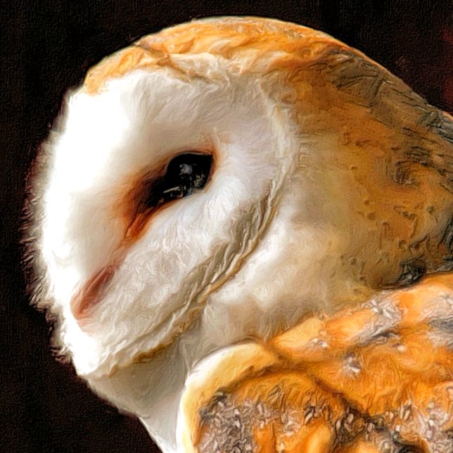 PAPEL DE PRESENTE OWLS (A beautiful soft focus watercolour of a Barn Owl.)