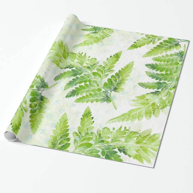 Papel De Presente Padrão Botânico Fern Verde Lindo (Desenrolado)
