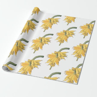 Papel De Presente Padrão de Banana