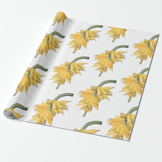 Papel De Presente Padrão de Banana (Desenrolado)