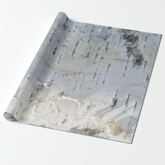 Papel De Presente padrão de casca de bétula (Desenrolado)