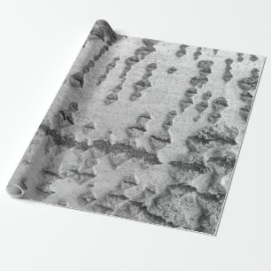 Papel De Presente Padrão de casca de bétula