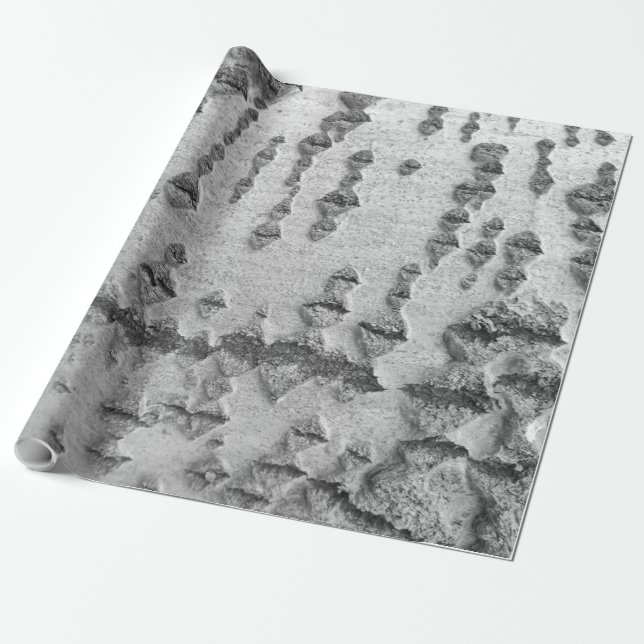 Papel De Presente Padrão de casca de bétula (Desenrolado)