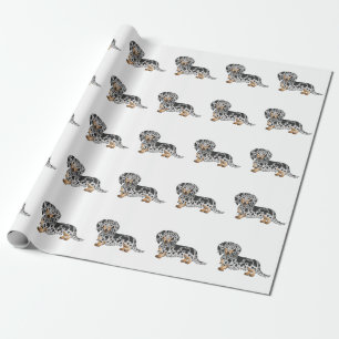 Papel De Presente Padrão De Dachshund De Cabelo Longo Preto E De Ba