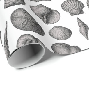 Papel De Presente Padrão de desenho de conchas oceânicas vintage