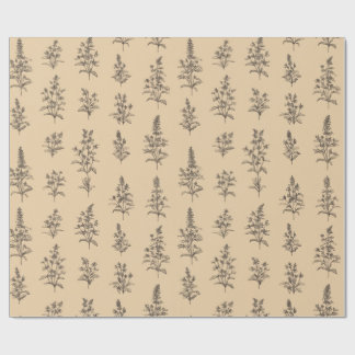 Papel De Presente Padrão de Erva Botânica Vintage – Floral Neutro