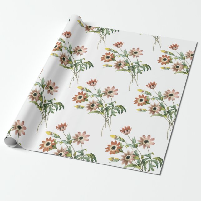 Papel De Presente Padrão de Flor Anemone (Desenrolado)