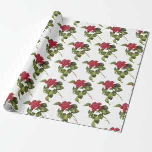Papel De Presente Padrão de Flor de Camélia