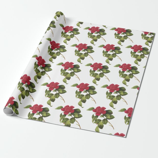 Papel De Presente Padrão de Flor de Camélia (Desenrolado)