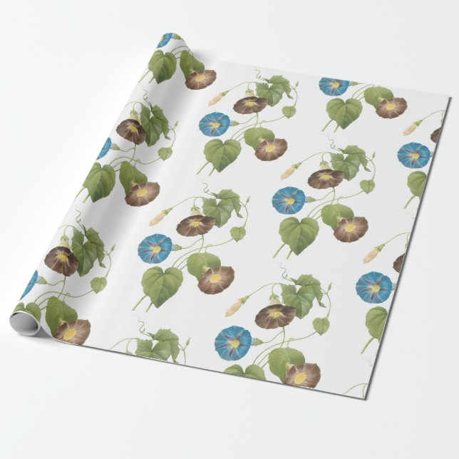 Papel De Presente Padrão de Flor de Ipoméia (Desenrolado)