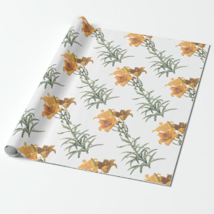 Papel De Presente Padrão de flor de lírio laranja