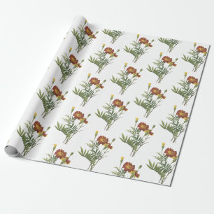 Papel De Presente Padrão de Flor de Marigold