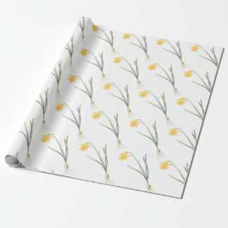 Papel De Presente Padrão de Flor de Narciso