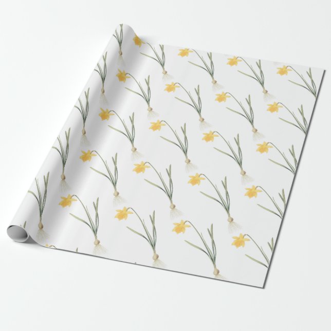 Papel De Presente Padrão de Flor de Narciso (Desenrolado)